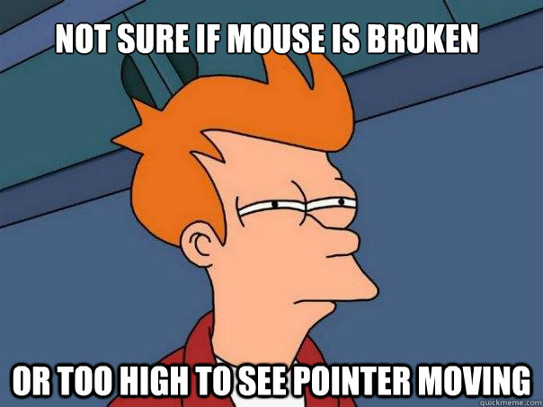 not sure if mouse is broken or too high to see pointer moving  Futurama Fry