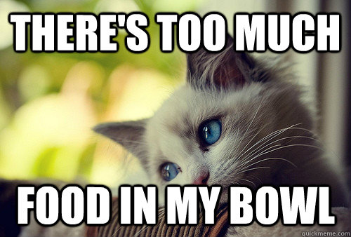 THere's too much food in my bowl  First World Problems Cat