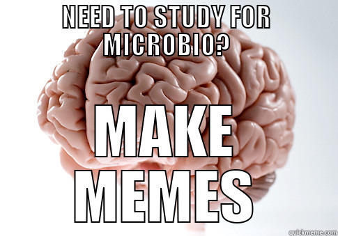 NEED TO STUDY FOR MICROBIO? MAKE MEMES Scumbag Brain