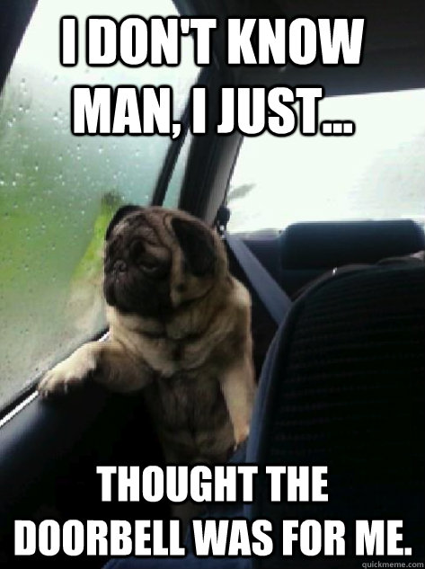 I don't know man, I just... thought the doorbell was for me.  Introspective Pug