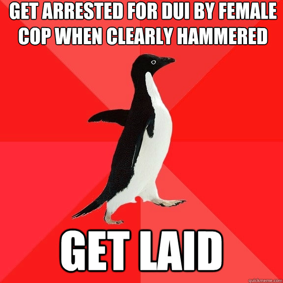 get arrested for dui by female cop when clearly hammered get laid  Socially Awesome Penguin