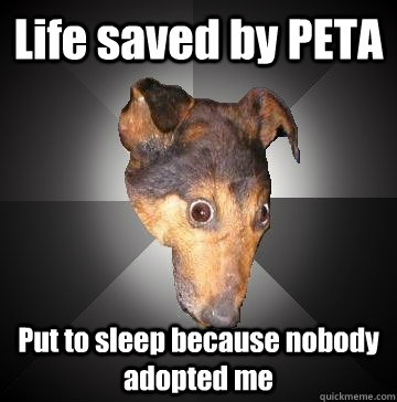 Life saved by PETA Put to sleep because nobody adopted me  Depression Dog