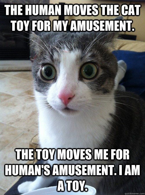 the human moves the cat toy for my amusement.  The toy moves me for human's amusement. I am a toy.   
