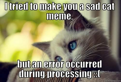 error occurred... - I TRIED TO MAKE YOU A SAD CAT MEME, BUT AN ERROR OCCURRED DURING PROCESSING ::( First World Problems Cat