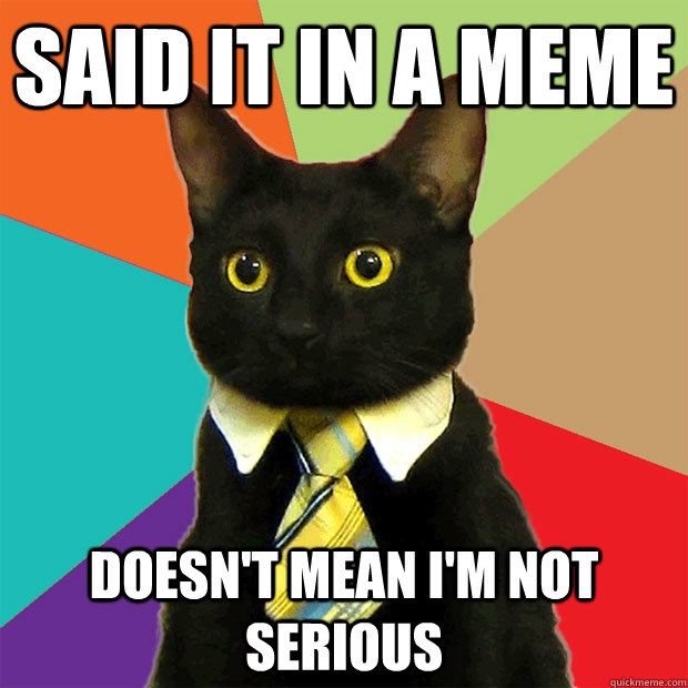 Said it in a meme doesn't mean I'm not serious  Business Cat