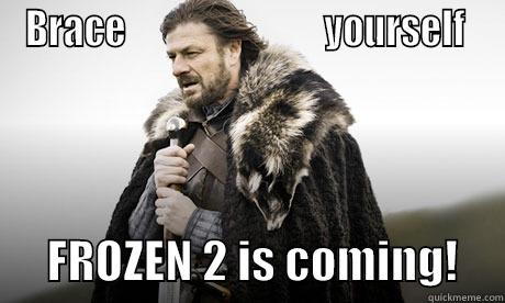 BRACE                           YOURSELF        FROZEN 2 IS COMING!     Misc