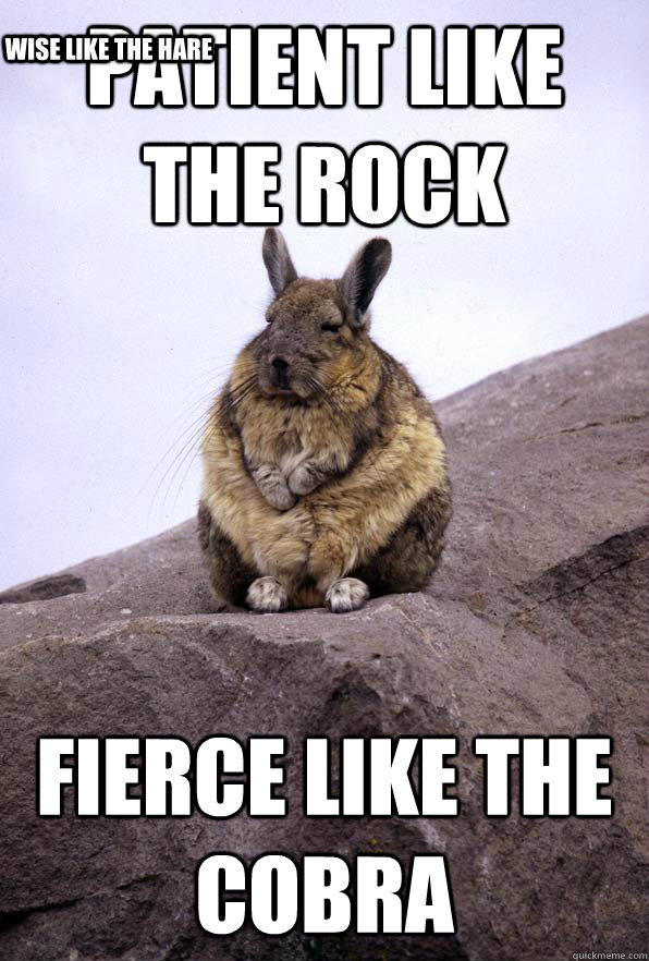 Patient like the rock fierce like the cobra wise like the hare  Wise Wondering Viscacha