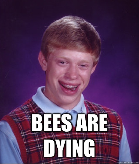  Bees are dying -  Bees are dying  Bad Luck Brian