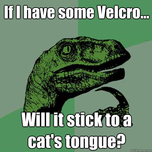 If I have some Velcro... Will it stick to a cat's tongue?  Philosoraptor