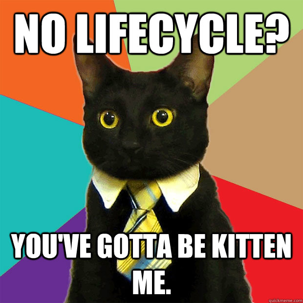 No lifecycle? you've gotta be kitten me. - No lifecycle? you've gotta be kitten me.  Business Cat