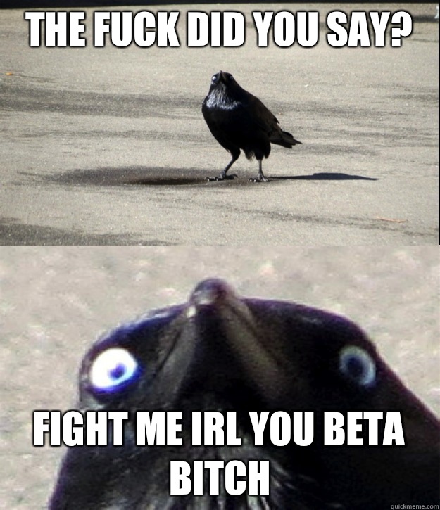 THE FUCK DID YOU SAY? FIGHT ME IRL YOU BETA BITCH  Insanity Crow