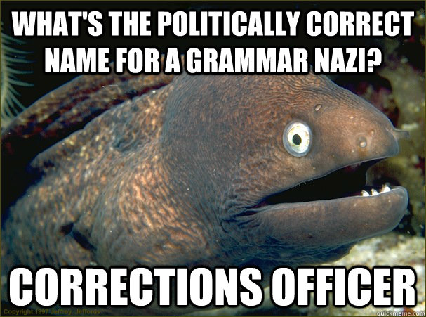 What's the politically correct name for a grammar nazi? corrections officer  Bad Joke Eel