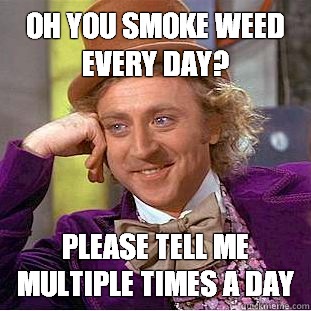 Oh you smoke weed every day? Please tell me multiple times a day  Condescending Wonka