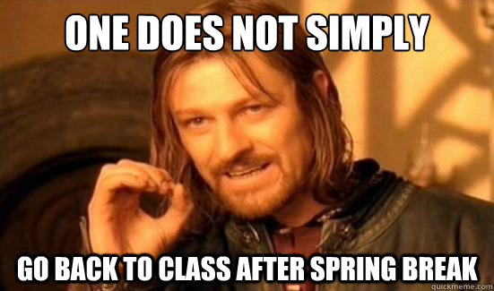 One Does Not Simply Go back to class after spring break  Boromir