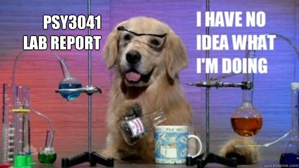 PSY3041 
lab report





   science dog