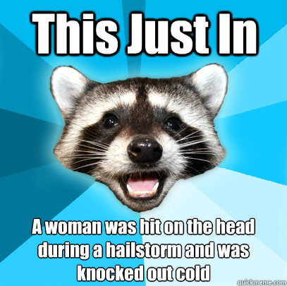 This Just In A woman was hit on the head 
during a hailstorm and was 
knocked out cold  Lame Pun Coon