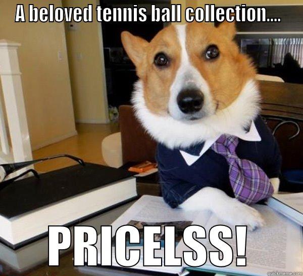 A BELOVED TENNIS BALL COLLECTION....  PRICELSS! Lawyer Dog