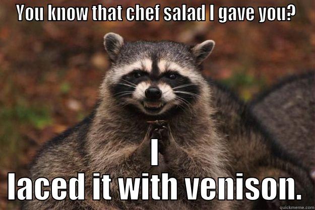 YOU KNOW THAT CHEF SALAD I GAVE YOU? I LACED IT WITH VENISON. Evil Plotting Raccoon