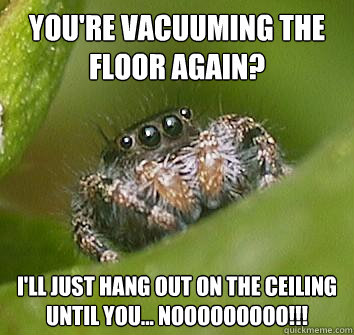 YOU'RE VACUUMING THE FLOOR AGAIN? I'LL JUST HANG OUT ON THE CEILING UNTIL YOU... NOOOOOOOOO!!!  Misunderstood Spider