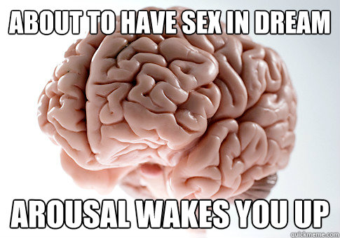 About to have sex in dream Arousal wakes you up  Scumbag Brain