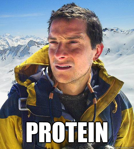  Protein  Bear Grylls