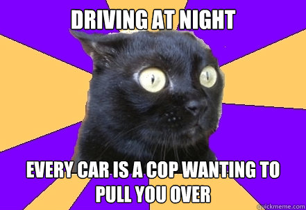 Driving at night  every car is a cop wanting to pull you over - Driving at night  every car is a cop wanting to pull you over  Anxiety Cat