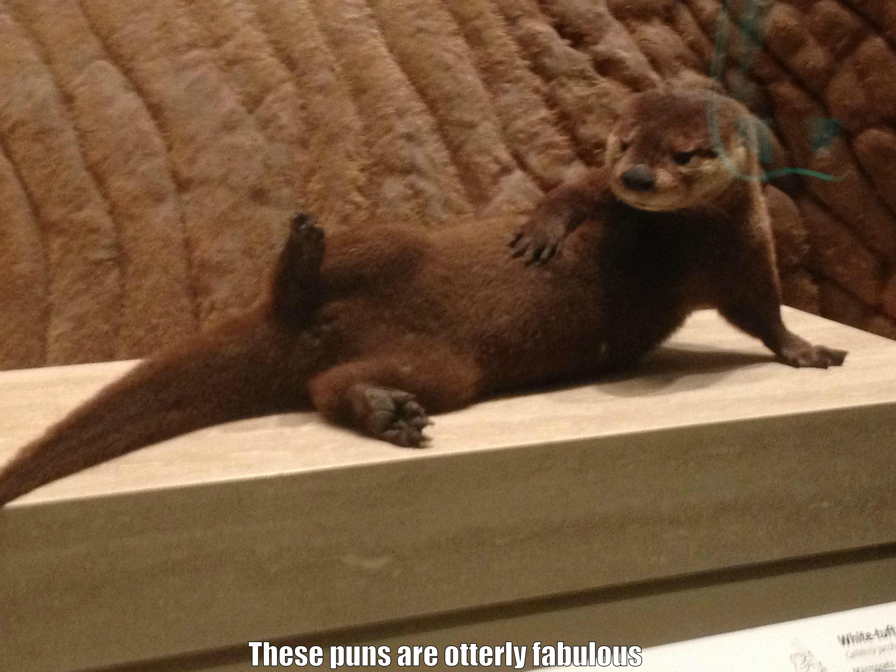  THESE PUNS ARE OTTERLY FABULOUS Misc