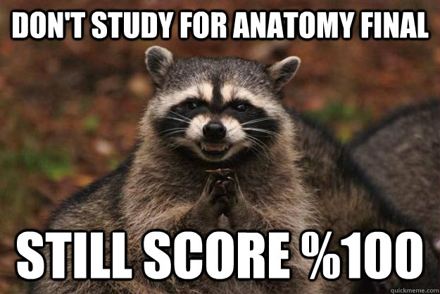 Don't study for Anatomy final still score %100  Evil Plotting Raccoon