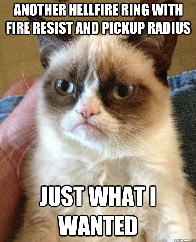 Another Hellfire ring with Fire resist and pickup radius just what i wanted  Grumpy Cat