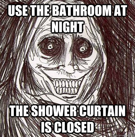 use the bathroom at night the shower curtain is closed   Horrifying Houseguest