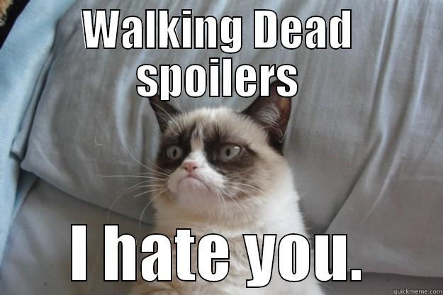 WALKING DEAD SPOILERS I HATE YOU. Grumpy Cat