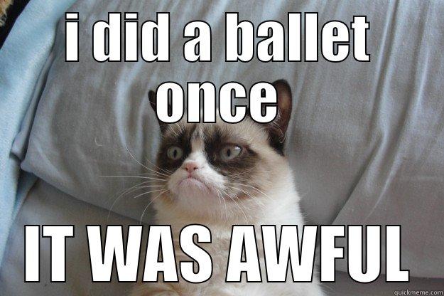 I DID A BALLET ONCE IT WAS AWFUL Grumpy Cat