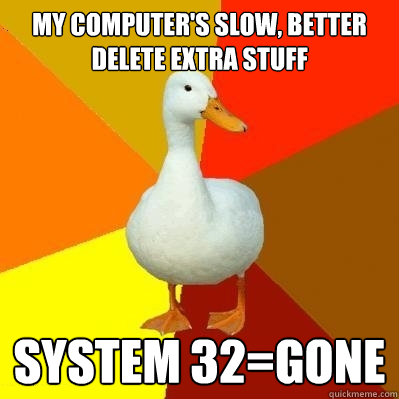 My computer's slow, better delete extra stuff System 32=Gone  Tech Impaired Duck