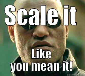 Scale it like you mean it! - SCALE IT LIKE YOU MEAN IT! Matrix Morpheus