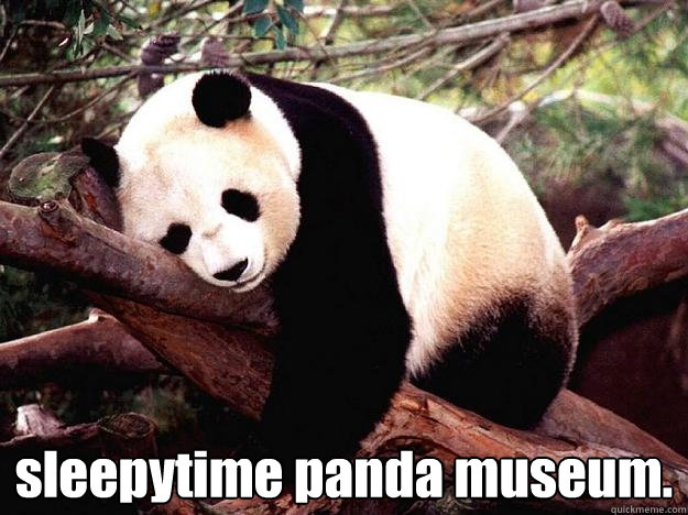  sleepytime panda museum.  Procrastination Panda