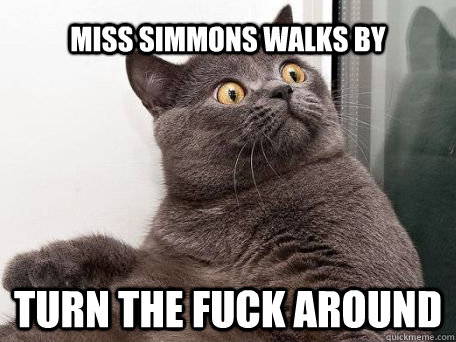 Miss Simmons walks by Turn the fuck around  conspiracy cat