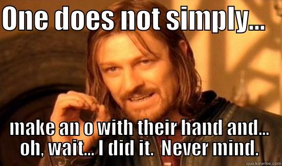 ONE DOES NOT SIMPLY...    MAKE AN O WITH THEIR HAND AND... OH, WAIT... I DID IT.  NEVER MIND. Boromir