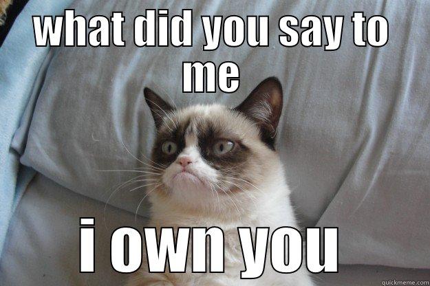 WHAT DID YOU SAY TO ME I OWN YOU Grumpy Cat