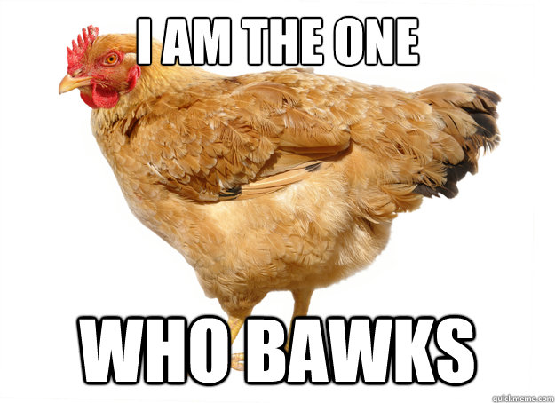 I am the one who bawks - I am the one who bawks  Heisenchicken