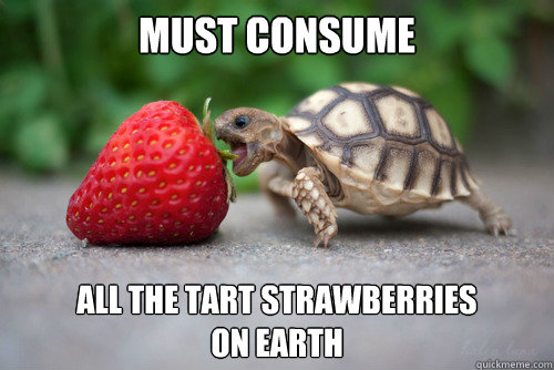 MUST CONSUME  ALL THE TART STRAWBERRIES 
ON EARTH  Munchies Turtle