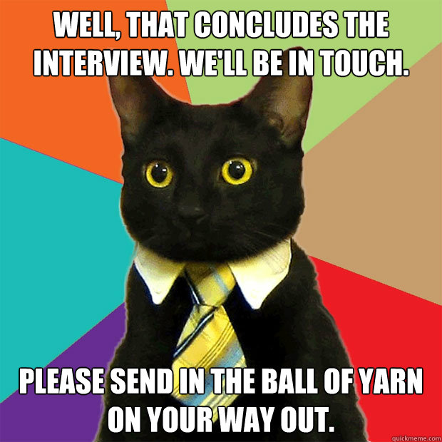 well, that concludes the interview. We'll be in touch. Please send in the ball of yarn on your way out.  Business Cat