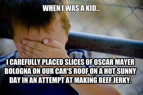 WHEN I WAS A KID... I carefully placed slices of Oscar Mayer bologna on our car's roof on a hot sunny day in an attempt at making beef jerky.  Confession kid