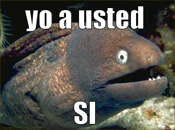 ok ok ok - YO A USTED SI Bad Joke Eel