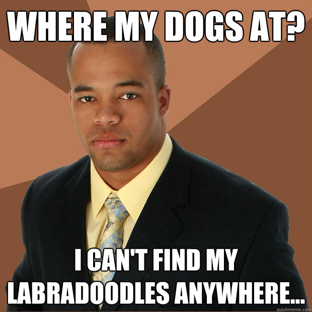 WHERE MY DOGS AT? I can't find my labradoodles anywhere...  Successful Black Man