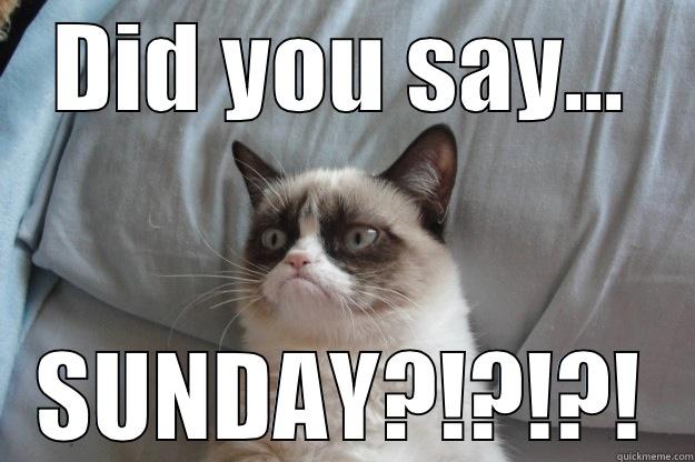 DID YOU SAY... SUNDAY?!?!?! Grumpy Cat