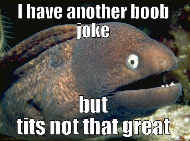 I HAVE ANOTHER BOOB JOKE BUT TITS NOT THAT GREAT Bad Joke Eel