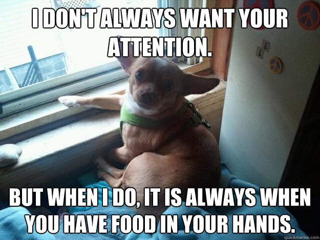 I don't always want your attention. But when I do, it is always when you have food in your hands.  