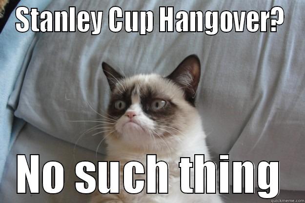 STANLEY CUP HANGOVER? NO SUCH THING Grumpy Cat