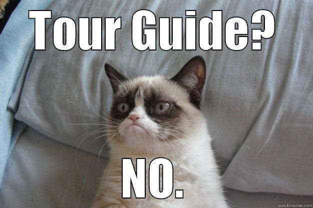 TOUR GUIDE? NO. Grumpy Cat