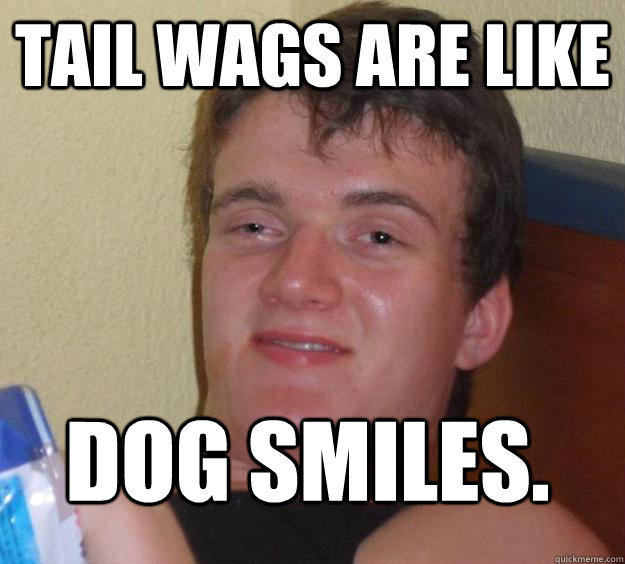 Tail wags are like Dog smiles.  10 Guy